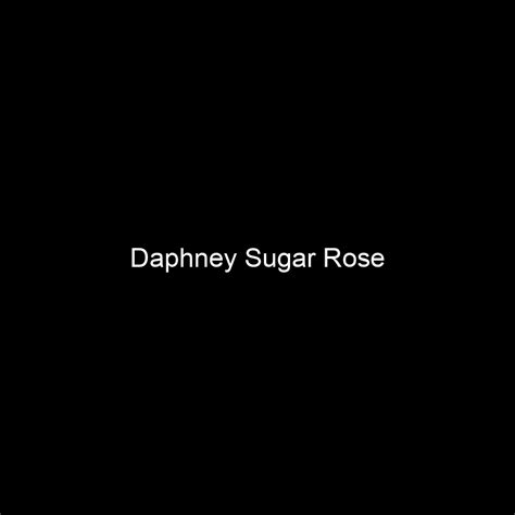 Daphney Sugar Rose